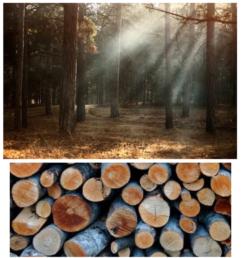 1637142413888988.jpg 微信圖片_202111171736432.jpg